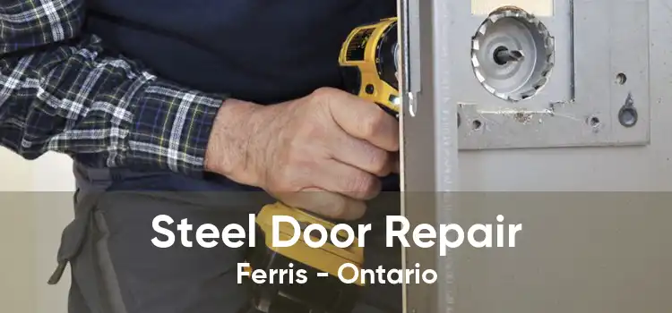 Steel Door Repair Ferris - Ontario