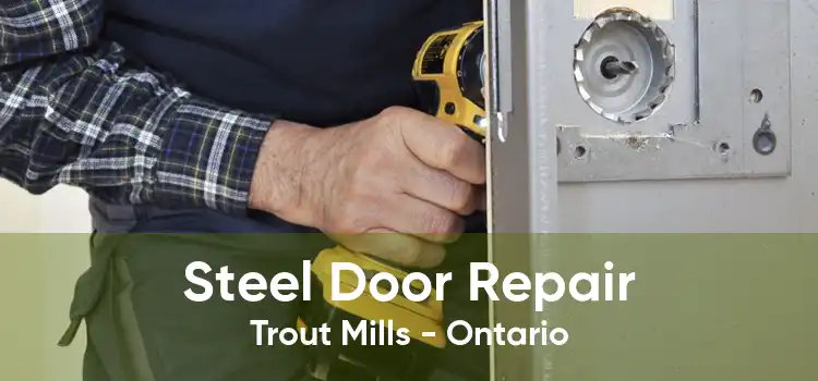 Steel Door Repair Trout Mills - Ontario