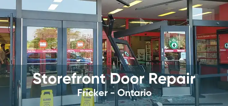 Storefront Door Repair Fricker - Ontario