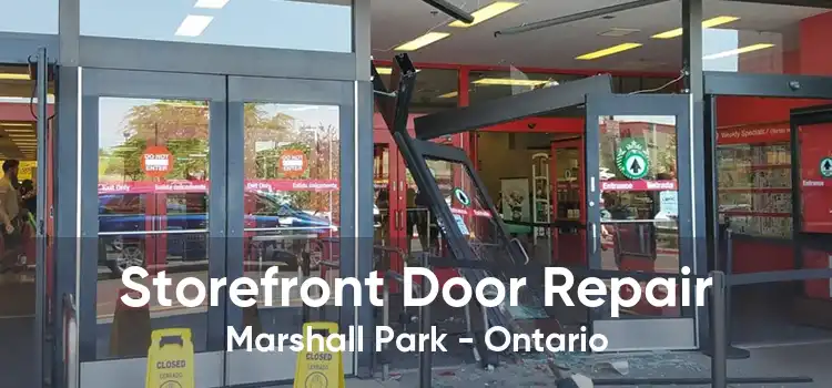 Storefront Door Repair Marshall Park - Ontario