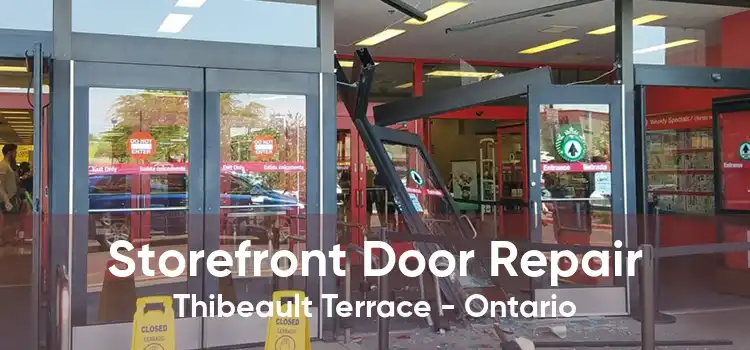 Storefront Door Repair Thibeault Terrace - Ontario