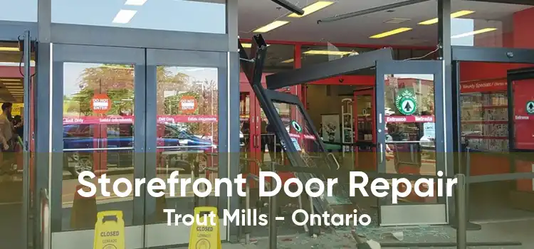 Storefront Door Repair Trout Mills - Ontario