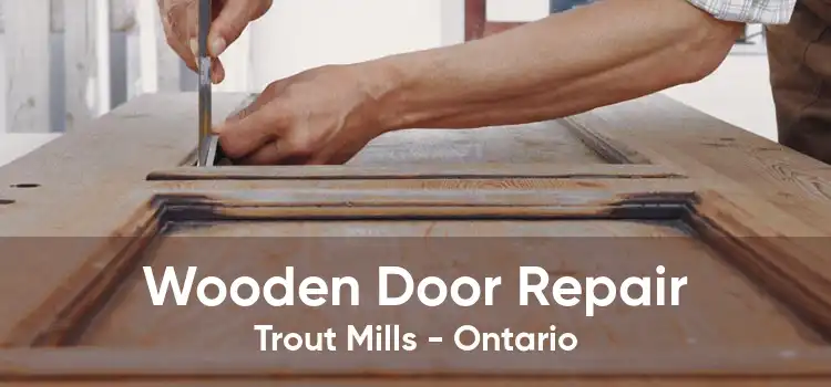 Wooden Door Repair Trout Mills - Ontario