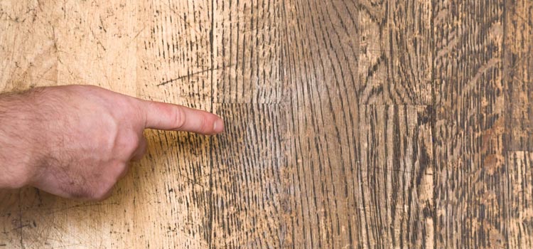 Wood Door Scratch Repair in Tweedsmuir